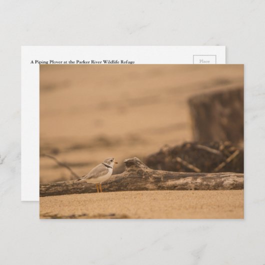 Briefkaart van de pijplenknop (Voorkant / Achterkant)