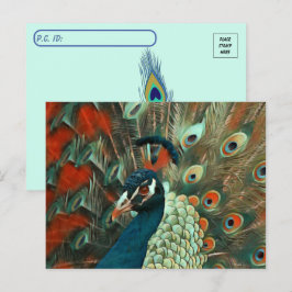 Briefkaart van de posterling Colorful Peacock