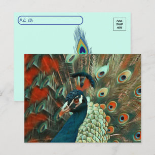 Briefkaart van de posterling Colorful Peacock