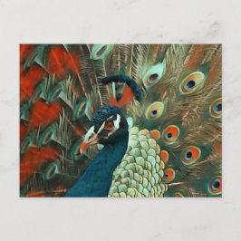 Briefkaart van de posterling Colorful Peacock
