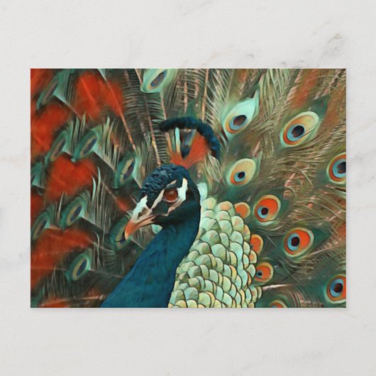 Briefkaart van de posterling Colorful Peacock (Voorkant)