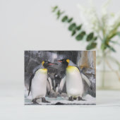 Briefkaart van de postovergangen van King Penguins (Staand voorkant)