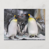 Briefkaart van de postovergangen van King Penguins (Voorkant)