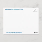 Briefkaart van de prachtige blauwe dragonfly (Achterkant)