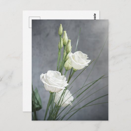 Briefkaart van de prachtige Lisianthus White Flowe (Voorkant / Achterkant)