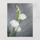 Briefkaart van de prachtige Lisianthus White Flowe (Voorkant)