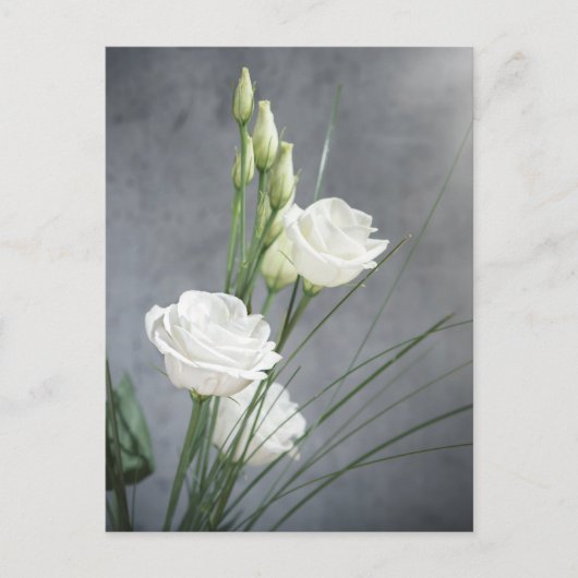 Briefkaart van de prachtige Lisianthus White Flowe (Voorkant)