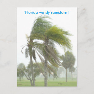 Briefkaart van de Rainstorm-palmbomen in Florida
