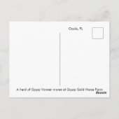 Briefkaart van de Rest Gypsy Vanner (Achterkant)