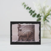 briefkaart van de ringerige stier (Staand voorkant)
