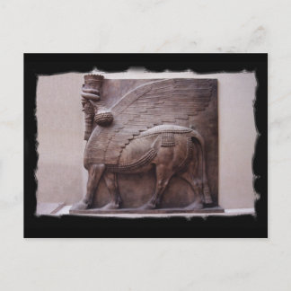 briefkaart van de ringerige stier