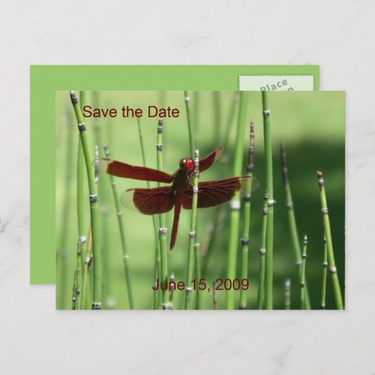Briefkaart van de rode dragonfly (Voorkant / Achterkant)
