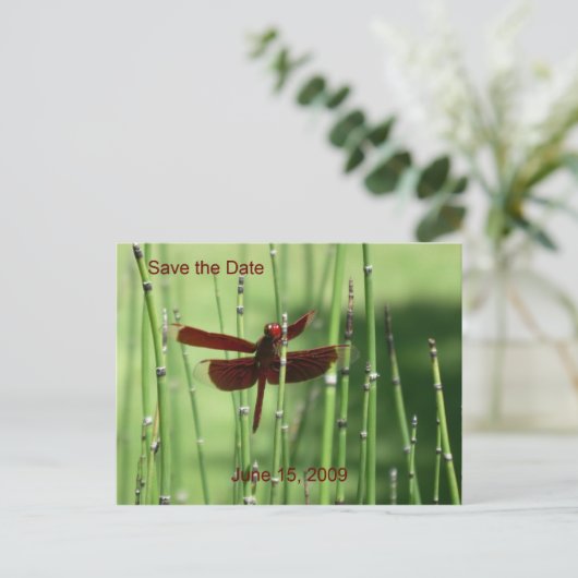 Briefkaart van de rode dragonfly (Staand voorkant)