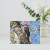 Briefkaart van de rode hond (Staand voorkant)