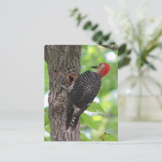 Briefkaart van de rode hond (Staand voorkant)