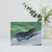 Briefkaart van de rode Paarse vlinder (Staand voorkant)