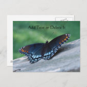 Briefkaart van de rode Paarse vlinder (Voorkant / Achterkant)