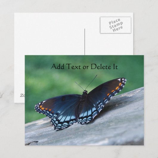 Briefkaart van de rode Paarse vlinder (Voorkant / Achterkant)