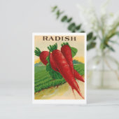 briefkaart van de  rode radijs (Staand voorkant)