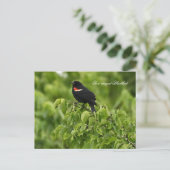 Briefkaart van de Rode-vleugel (Staand voorkant)