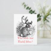 briefkaart van de roodneusjakhals (Staand voorkant)