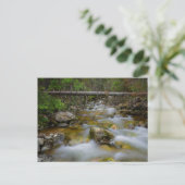 Briefkaart van de rotswieg (Staand voorkant)