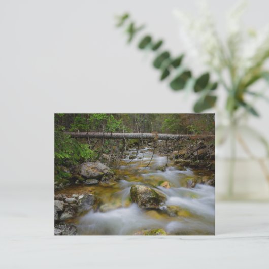 Briefkaart van de rotswieg (Staand voorkant)