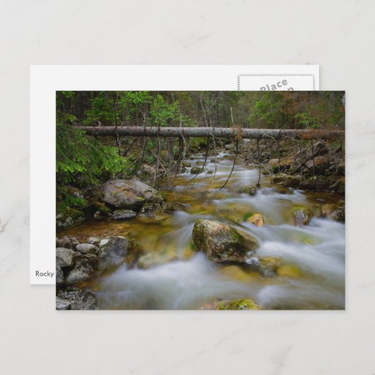 Briefkaart van de rotswieg (Voorkant / Achterkant)