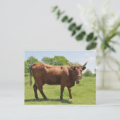 Briefkaart van de Salingkoe (Staand voorkant)