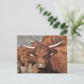 Briefkaart van de Salingkoe (Staand voorkant)