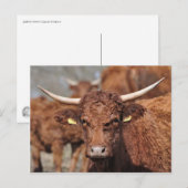 Briefkaart van de Salingkoe (Voorkant / Achterkant)