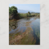 Briefkaart van de Scene (Voorkant)