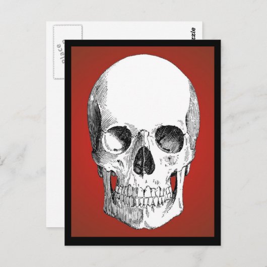 Briefkaart van de schedel (rood) (Voorkant / Achterkant)