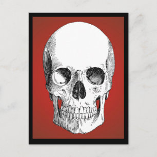 Briefkaart van de schedel (rood)