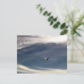 Briefkaart van de Seagull Sky (Staand voorkant)
