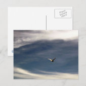 Briefkaart van de Seagull Sky (Voorkant / Achterkant)