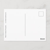 Briefkaart van de Sjabloon van eierplanten en radi (Achterkant)