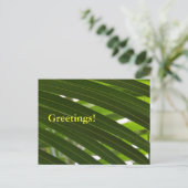 Briefkaart van de spoelpalm (Staand voorkant)