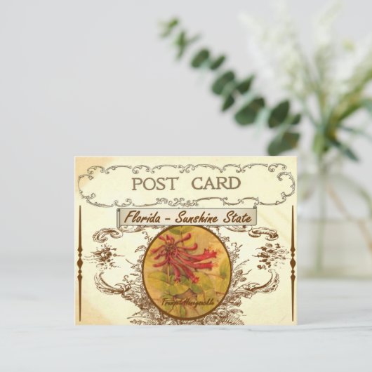  Briefkaart van de staat Florida (Staand voorkant)