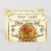  Briefkaart van de staat Florida (Voorkant / Achterkant)