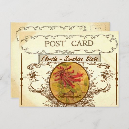  Briefkaart van de staat Florida (Voorkant / Achterkant)