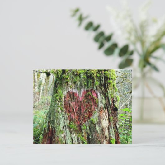 Briefkaart van de staat Washington: Liefde boom (Staand voorkant)