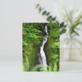 Briefkaart van de staat Washington: Quinault Rain  (Staand voorkant)