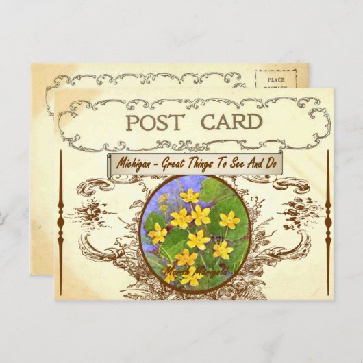  Briefkaart van de staatsbloem van Michigan (Voorkant / Achterkant)