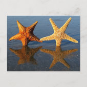 Briefkaart van de stervisreflectie (Voorkant)