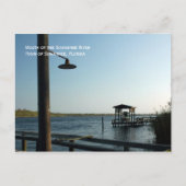 Briefkaart van de Suwannee River Dock (Voorkant)
