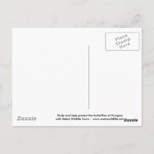 Briefkaart van de swallowtail Butterfly (Achterkant)