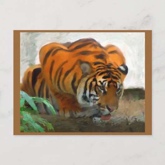 Briefkaart van de tijger (Voorkant)