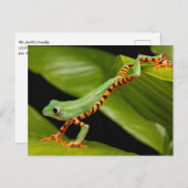 Briefkaart van de tijgerbeen-apen (Voorkant / Achterkant)