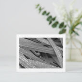 Briefkaart van de tuinslak (Staand voorkant)